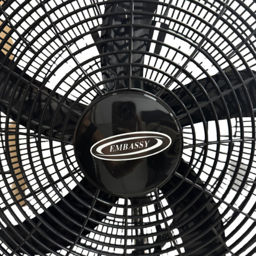 Ventilador De Pie 20'' Embassy Fy-2090 90w 5 Aspas Plasticas