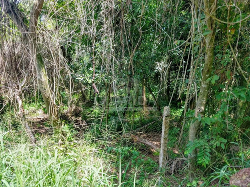 Imagem 6 de 6 de Terreno - Belem Novo - Ref: 198753 - V-198865