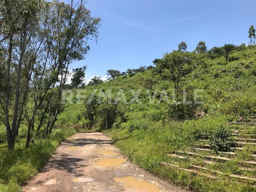 Imagen 9 de 14 de Terreno En Venta