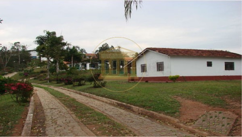 Imagem 13 de 16 de Rural Chacara Com 4 Quartos - 924079-v