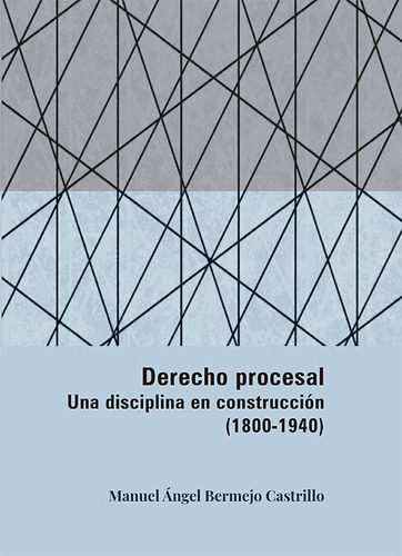 Derecho Procesal Una Disciplina En Construccion (1800-1940)