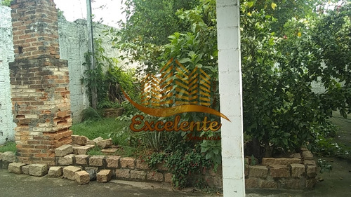 Imagem 9 de 14 de Rural - Venda - Vila Real Continuaçao - Cod. 181 - V181