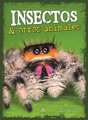 Insectos Y Otros Animales - Equipo Editorial