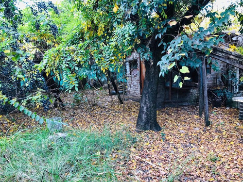 Imagen 11 de 11 de Casa - Ituzaingó