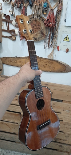Imagen 2 de 6 de Ukelele De Concierto Profesional Con Su Forro Protector