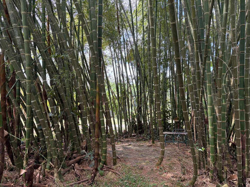 Venta Hermosa Parcela Cabaña Mesa De Los Santos