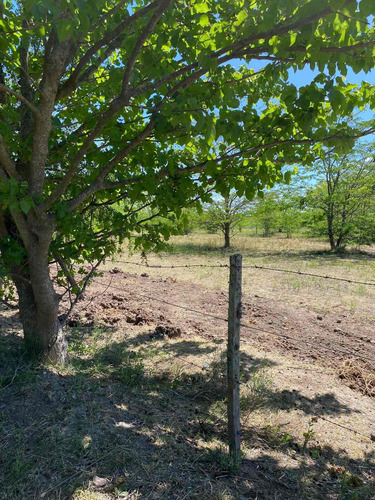 Imagen 11 de 14 de Dueño Vende Hermoso Lote En Villa Elisa, La Plata Calle 409