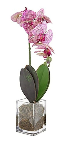 Casi Natural 24 Pulgadas. Orquídea Phalaenopsis Florero Arti