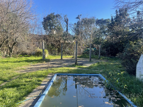 Casa Quinta En 3 Amb. En Venta Lote 900 M2 Excelente Ubicación - Moreno