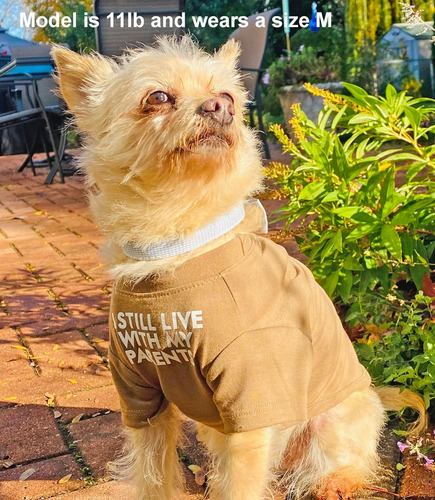 Ropa De Perro Lindo, Perro Camiseta Para Perros Medianos ...