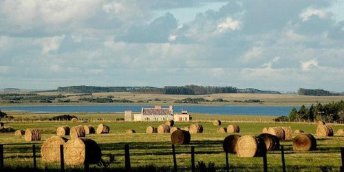 Quinta En Alquiler Por Temporada De 4 Dormitorios En Jose Ignacio