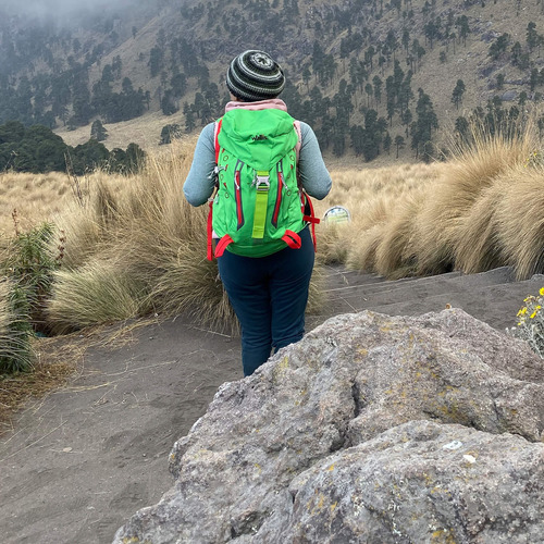 Mochila Para Media Montaña Thapa 35 L Wallis Color Verde Diseño de la tela Poliéster