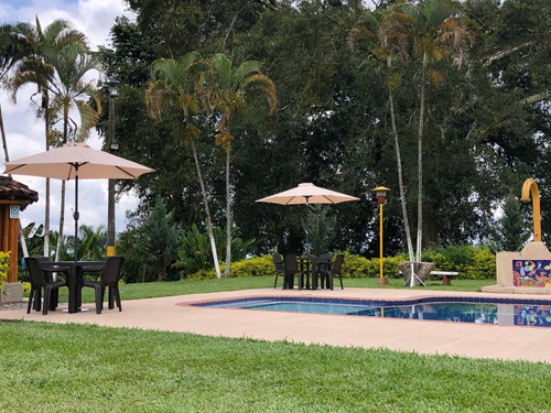 Imagen 16 de 26 de Finca De Alquiler Por Días El Congolo Pereira