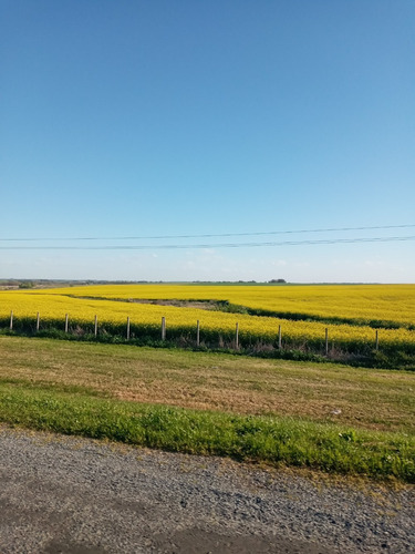 Venta De Campos En San Jose