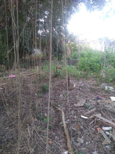 Imagem 4 de 7 de Terreno Para Venda - Vila São Sebastião, Mogi Das Cruzes - 774m², 3 Vagas - 2344
