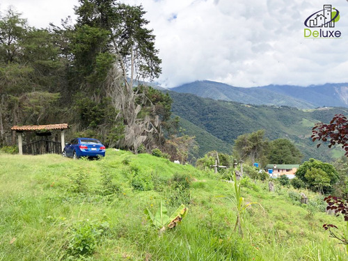 Imagen 10 de 12 de Finca En Venta Mérida. El Pedregal, Tabay