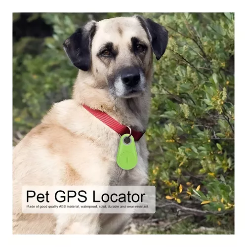 Collar Localizador Gps Perro Gatos Chip Rastreador Mascotas