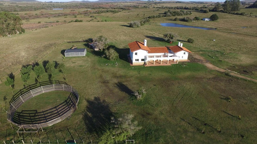 Imagen 2 de 30 de Chacra Punta Del Este, Ruta 12 Km 25,6