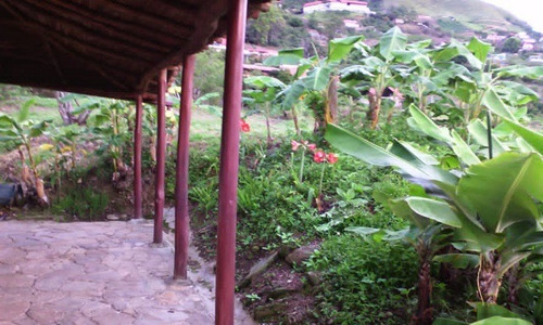 Imagen 9 de 21 de Se Vende Finca 20.748 M2 El Jarillo
