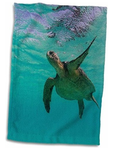 Toalla De Manos 3d Rose Green Sea Turtle Swim-galapagos-e