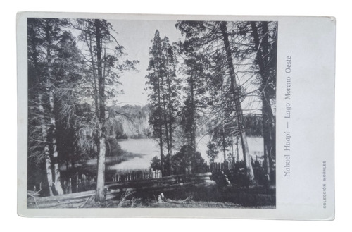 Nahuel Huapi - Lago Moreno Oeste Antigua Postal Peuser