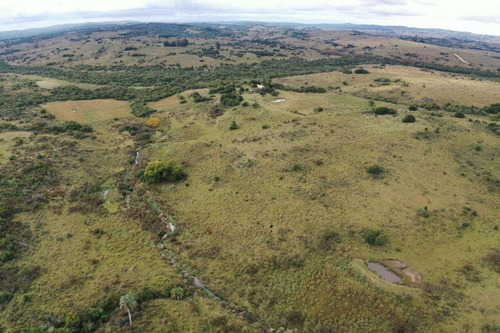 Venta De Campo De 70 Hectareas En Sierras De Garzon - Paso De La Cantera