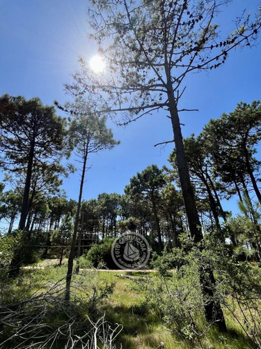 Terreno Cerca De Playa Grande Y Rivero, Excelente Zona