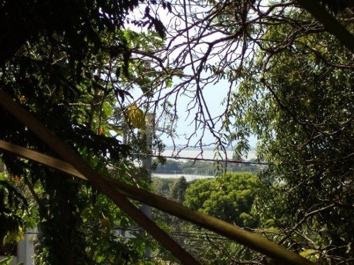 Terreno Em Vila Conceição - Mi269249