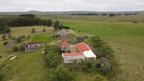 Campo Ganadero En Rocha 350ha (ref: Atm-7301)
