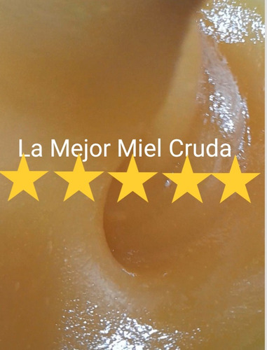 Miel Pura Orgánica Sin Procesar 1 Kilo