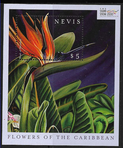 #8172 Nevis 2000  Flores Flora Hoja Bl Yv Bl 193 Mnh