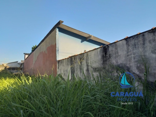 Imagem 3 de 4 de Terreno - Te00354 - 69892651