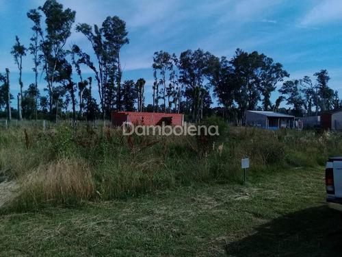 Imagen 6 de 12 de Terreno En Venta O Permuta Ubicado En General Rodríguez, General Rodríguez