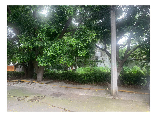 Imagen 4 de 4 de Terreno En Esquina Col. Florida