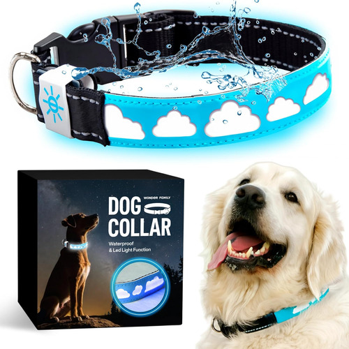 Collar Led Recargable Para Perro De Cuero, Azul, Impermeable