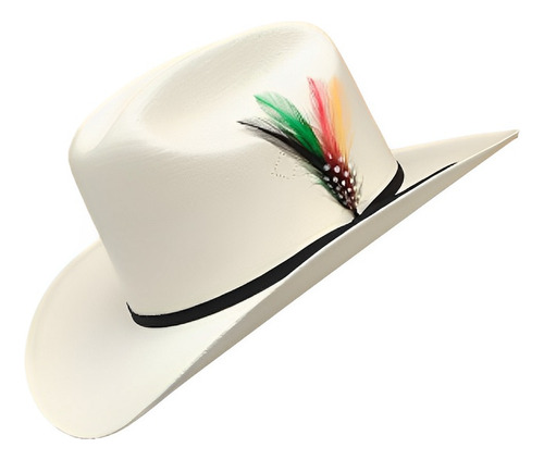 Sombrero Vaquero Chaparral Laqueado Estilo El Fantasma 100x 