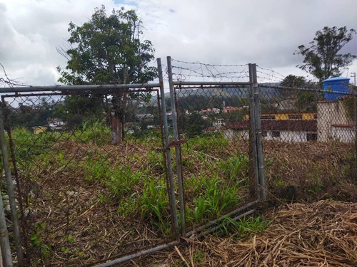 Imagen 3 de 5 de Terreno En Venta En Las Polonias, San Antonio. 04142406660