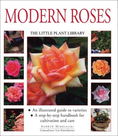Rosas Modernas De La Serie Pequena Biblioteca De Plantas