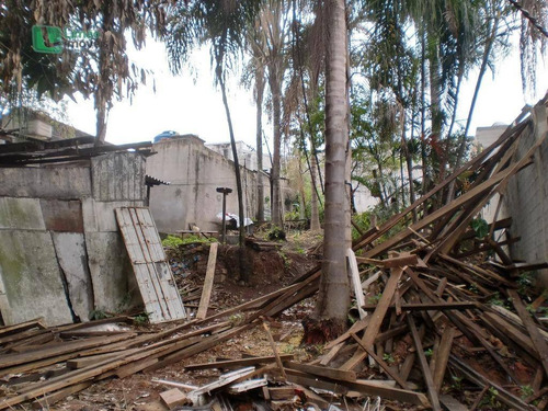 Imagem 3 de 3 de Terreno Residencial À Venda, Vila Siqueira (zona Norte), São Paulo. - Te0073