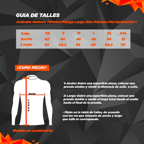 Imagen 2 de 2 de Remera Termica Kit X2 Manga Larga Gdo Primera Piel Hydrowick