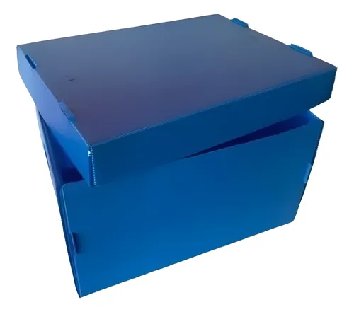 Caja Archivo Plástica Tapa Plana 42x32x25 Pack X 3 Unidades