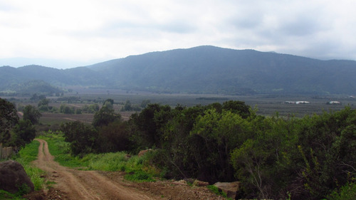 Parcela De 5.000m2 - Santuario Los Tres Antonios - Melipilla