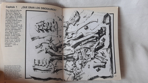 Imagen 4 de 10 de Guia De Campo De Los Dinosaurios Vvaa Edaf