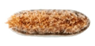 Imagem 3 de 3 de M A C - Pincel Para Sobrancelhas 208s