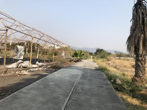 Imagen 2 de 30 de Terreno - Palo Escrito