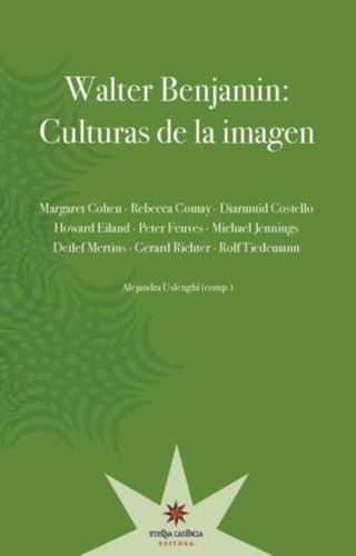 Walter Benjamin: Culturas De La Imagen