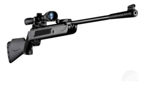 Rifle Poston Lb600 5.5 Con Mira Telescopica Mas Postones 