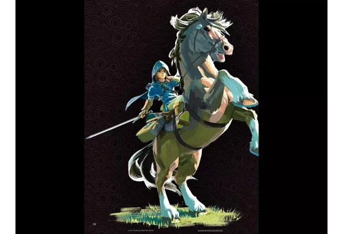 Zelda Nintendo Switch Breath Of The Wild Guia Oficial Y Mas (Usado)