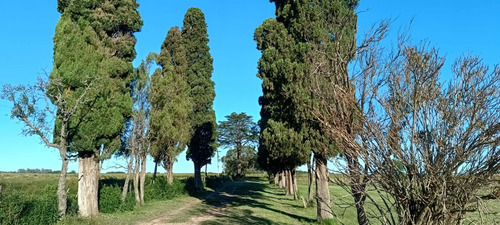 Venta Quinta Con 2 Has En V.gral.savio, Ex Sanchez