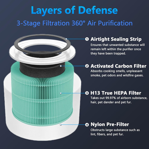 Filtro De Reemplazo Del Absorbente De Toxinas Core 300 ...